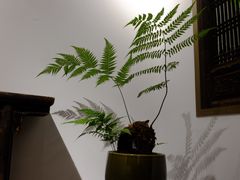 -德迹斋禅意文化茶馆·茶空间·商务洽谈•宴席(桃园店)