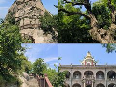 -波尔登森林公园