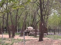 -秦皇岛野生动物园
