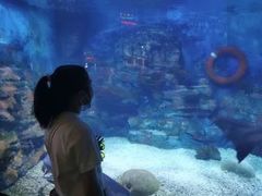 -烟台海昌鲸鲨海洋公园