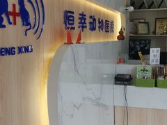 -恒幸动物医院·急重症转诊中心·神经内外科·CT核磁