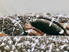 奥利奥魔法棒-奈雪的茶(新天地广场PRO店)