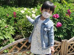 -迎泽公园