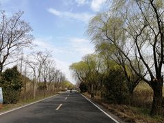 -同里国家湿地公园