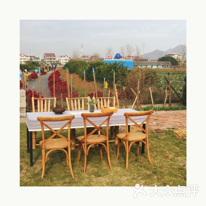 七都花空间-图片-温州休闲娱乐-大众点评网