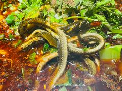 -大众跷脚牛肉馆·非遗传承单位(峨眉山店)