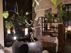 -瓦库茶馆17号(海汇港店)