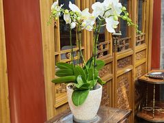 -北京古城老院厉晓麟精致菜