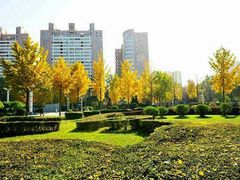 -西清公园