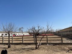 -北京群众马术培训基地