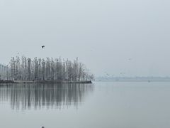 -东湖落雁景区