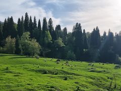 -新疆那拉提国家旅游度假区
