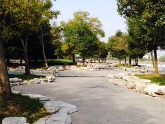 溱湖国家湿地公园-溱湖国家湿地公园