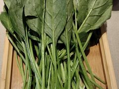 -蝎王府羊蝎子(西直门店)