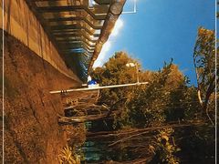 -深圳湾公园(南山区)