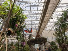 -沈阳植物园
