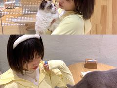 -藏猫猫咖啡主题馆(中央大道店)
