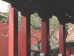 -满满元气和田大枣糕·蛋糕(朝阳大悦城店)