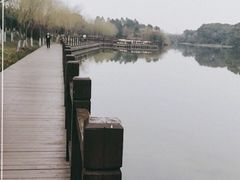 -艾溪湖湿地公园