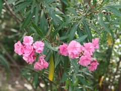 -金鸡湖高尔夫会员专属俱乐部