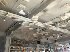 -猫的天空之城概念书店(北戴河蔚蓝海岸店)