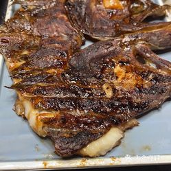 白海航鸽子王二店