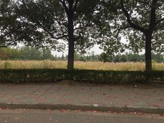 美丽的荒地-南京理工大学紫金学院