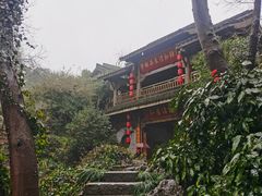 -龙井壹号·茶缘山景宴(龙井村店)