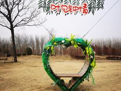 -黄海国家森林公园