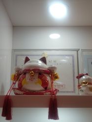-晶奕空间专业脱毛连锁机构