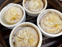 -莱莱小笼·乔艾
