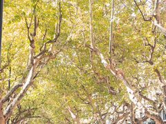 -衡山路(地铁站)