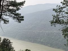 -铁山坪森林公园