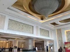 -合肥丰大国际大酒店