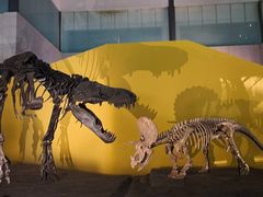 -湖南省地质博物馆