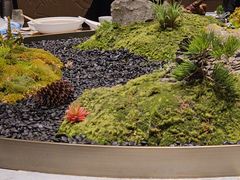 -外滩·云南人家(昆明旗舰店)