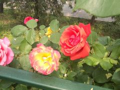 -朝阳公园游乐园