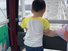 -琴岛之星摩天轮