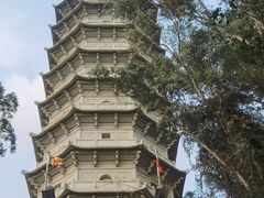 -深圳国际园林花卉博览园