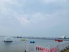 -碧海金沙
