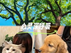 -莲花山公园