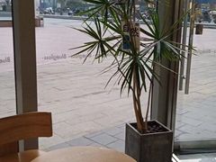 -Blueglass酸奶(财富购物中心店)