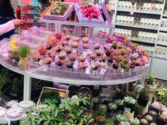 -KKV(深圳kk one 店)