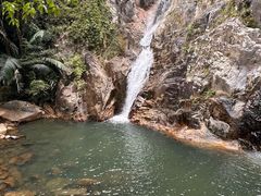 -海南霸王岭国家森林公园