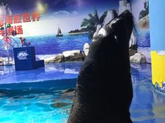 -重庆欢乐海底世界