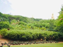 -西双版纳勐泐文化旅游区