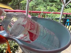 -将军关探险漂流