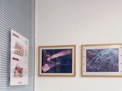 -瑞派福兴宠物医院犬猫全科·骨科·中西医结合(河东店)