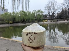 -团结湖公园