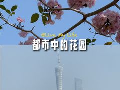 -海珠湖公园